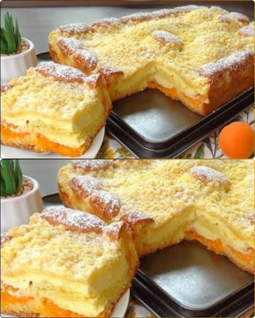 Apricot Cake with Cheese