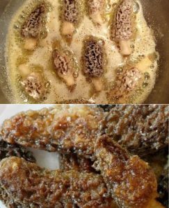 Pan Fried Morel Mushrooms Recipe