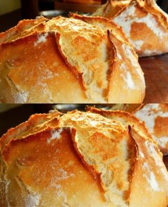 Homemade Bread: Amazing Results in Your Conventional Oven