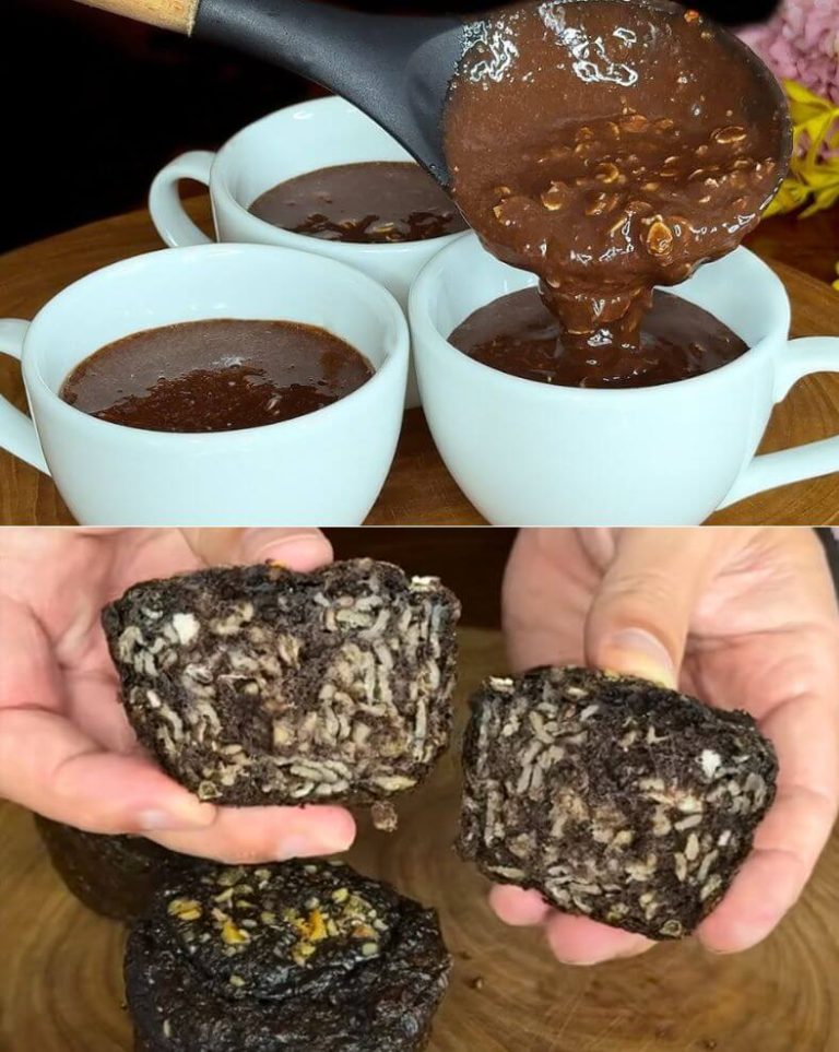 Sugar-Free Cocoa Oatmeal Mug Cake