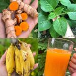 natural cancer remedy