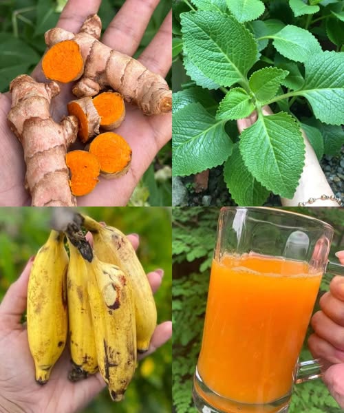 natural cancer remedy