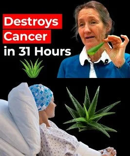 Barbara O’Neill discussing holistic cancer support and natural healing methods
