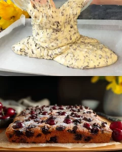 Delicious slice of Cherry Chocolate Chip Cake garnished with cherries and chocolate chips