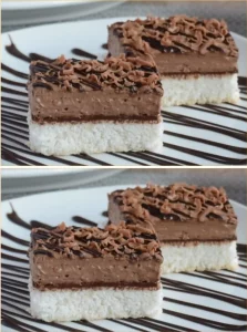Slice of Coconut Fairy Tale Chocolate Coconut Cake with chocolate and coconut layers