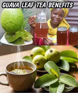 A cup of guava leaf tea surrounded by fresh guava leaves.