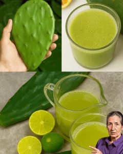 Nopal Lemon Elixir - a refreshing drink for health and vitality