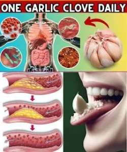 Benefits of consuming raw garlic for health and wellness
