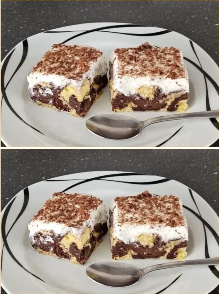 Step mother slices with chocolate pudding and sour cream cream dessert