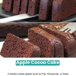 Delicious slice of Apple Cocoa Cake topped with fresh apples and cocoa