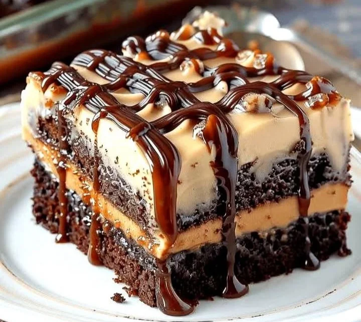 Delicious mocha ice cream cake with chocolate and coffee layers
