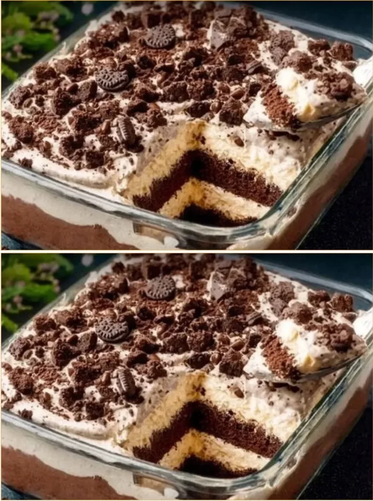 Delicious Chocolate Biscuit Cream Dessert displayed in a beautiful serving dish.