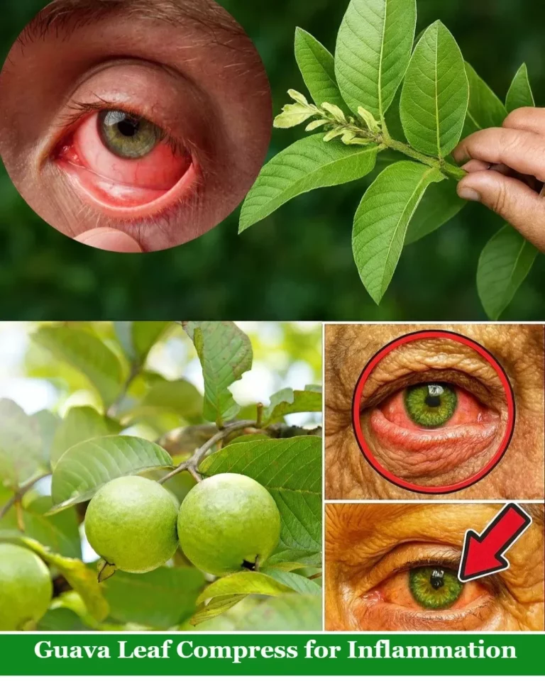 Guava leaf compress application to relieve inflammation and swelling