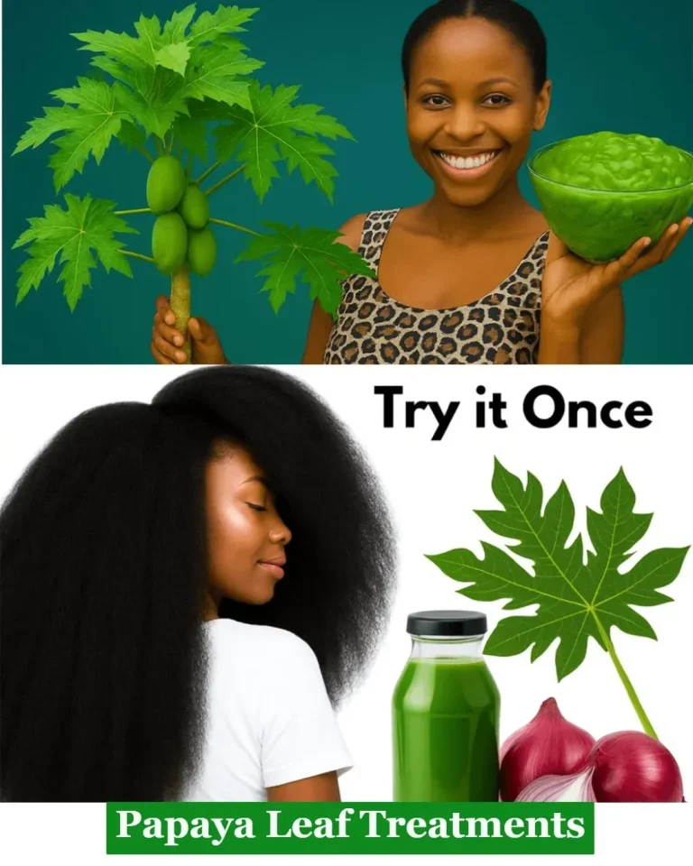 Fresh papaya leaves used for natural health treatments and remedies.