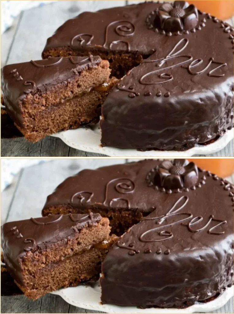 Delicious Sacher Cake with chocolate icing and apricot filling on a plate.