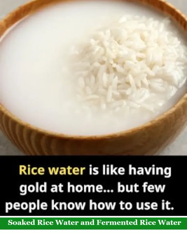 Benefits of soaked and fermented rice water for hair and skin